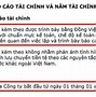 Báo Cáo Tài Chính Của Doanh Nghiệp Bao Gồm