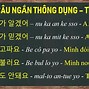 Học Tiếng Hàn Mỗi Ngày 10 Câu Hỏi Pdf Miễn Phí Online